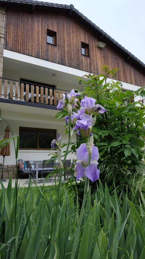 Le Jardin De Moulis, Saint Girons, Ariege, Pyrenees, Bed and Breakfast Buitenkant foto