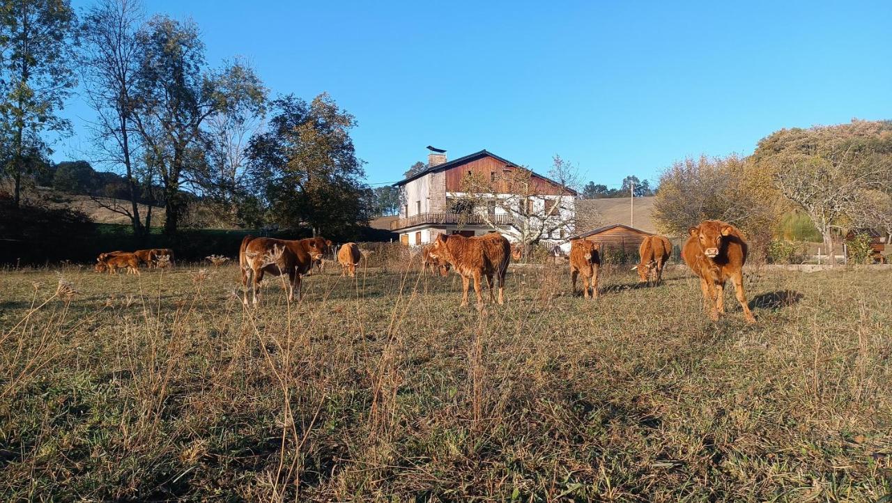 Le Jardin De Moulis, Saint Girons, Ariege, Pyrenees, Bed and Breakfast Buitenkant foto